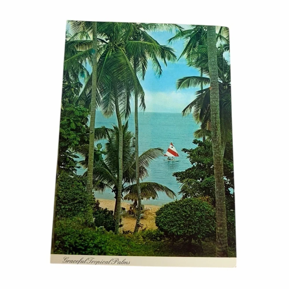 Vintage Tropical Palms Postcard Beach Sailboat Unposted 1960s Retro Decor